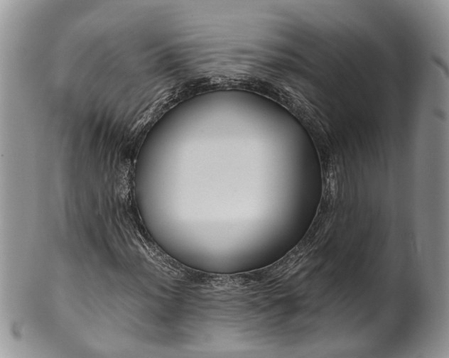 X0000099511012200806051142