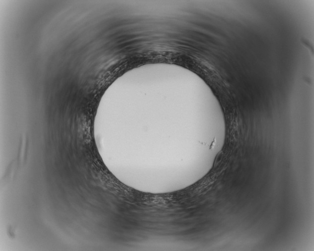 X0000099511013200806051142