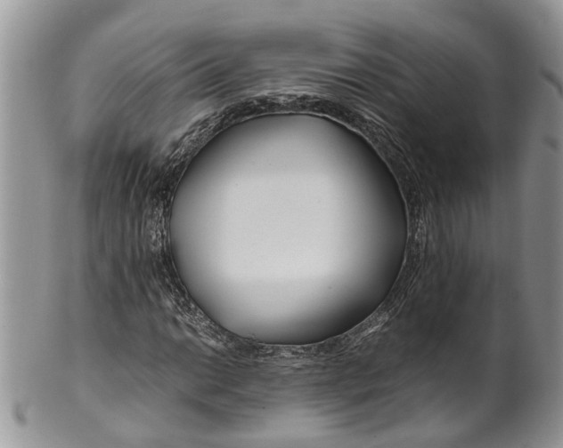 X0000099511014200806051142