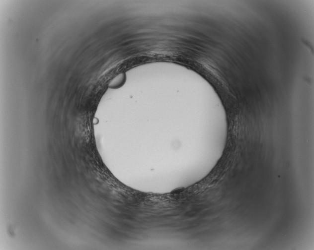 X0000099511015200806051142