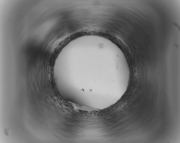 X0000099511016200806051142