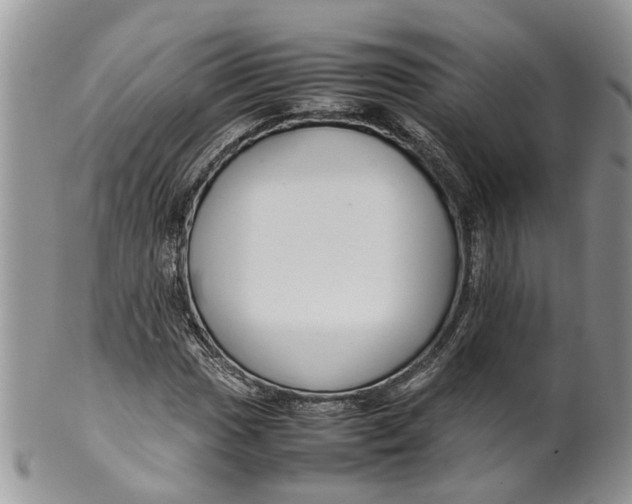 X0000099511017200806051142