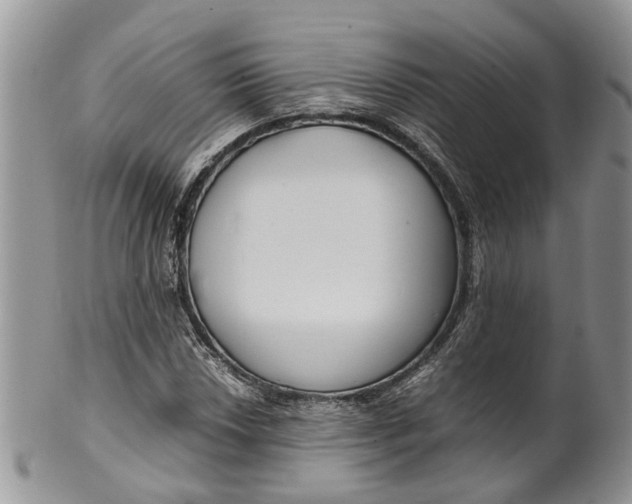 X0000099511018200806051142