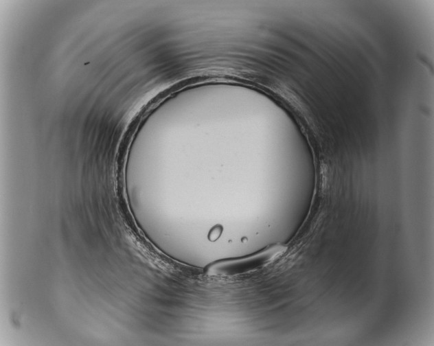 X0000099511020200806051142