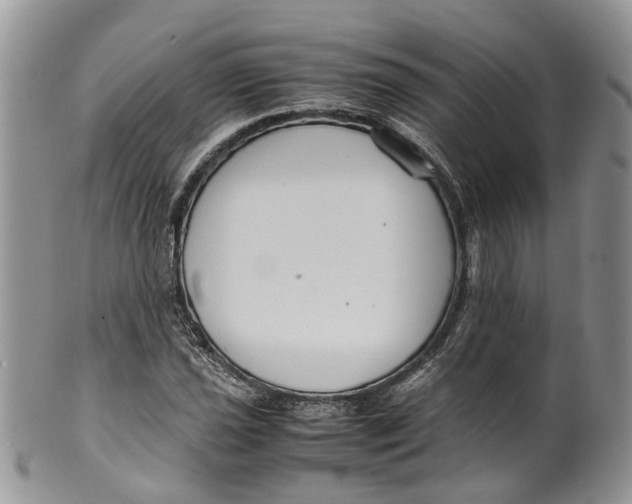 X0000099511021200806051142