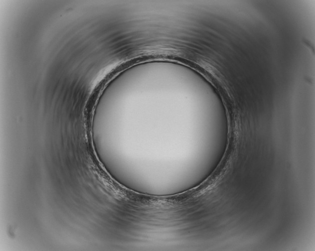 X0000099511022200806051142