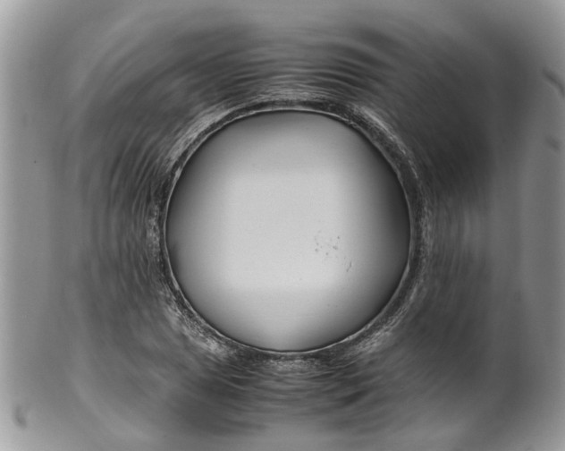 X0000099511025200806051142