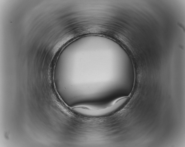 X0000099511026200806051142