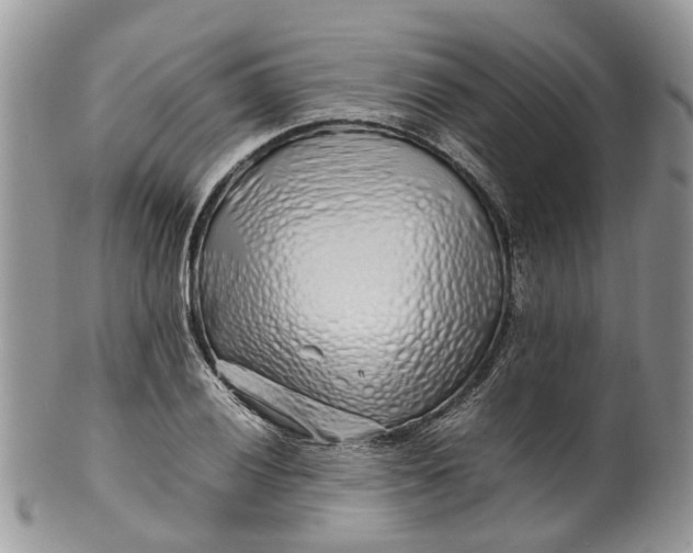 X0000099511028200806051142