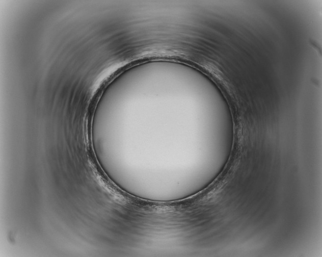 X0000099511030200806051142