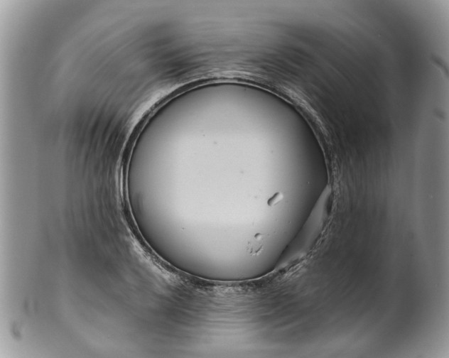 X0000099511032200806051142