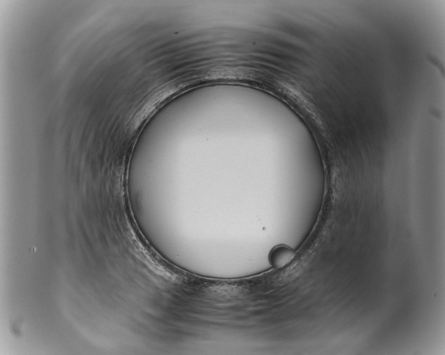 X0000099511033200806051142