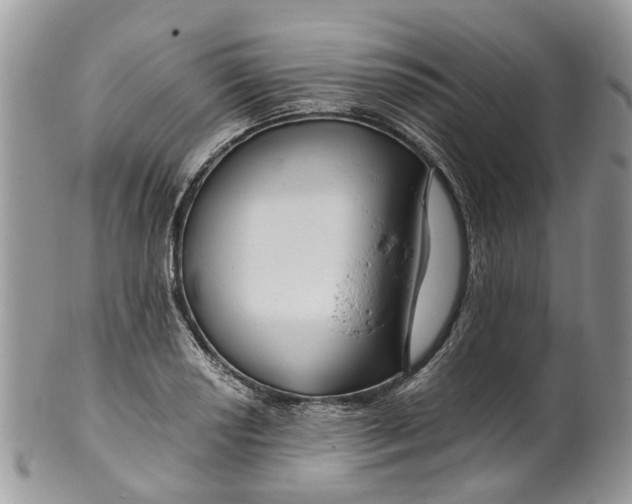 X0000099511034200806051142