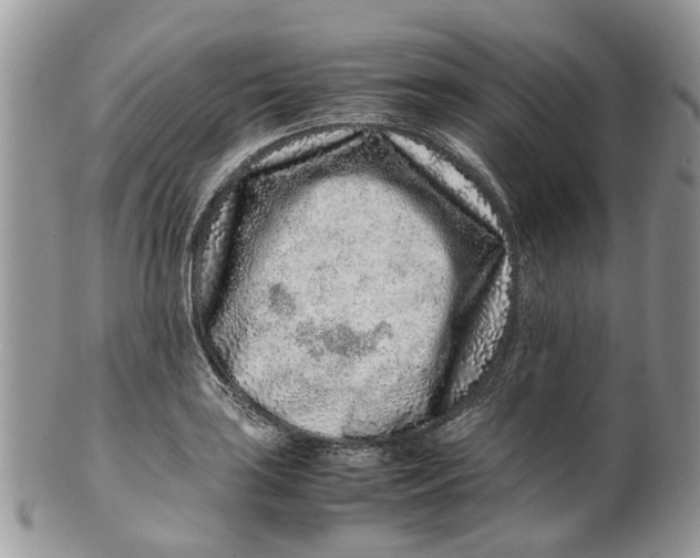 X0000099511035200806051142