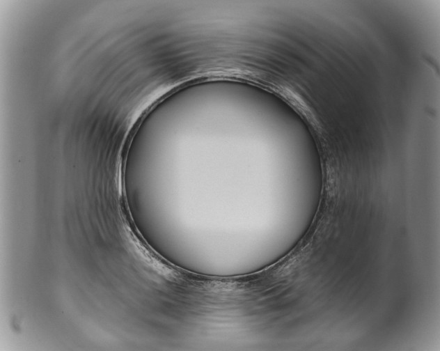 X0000099511036200806051142