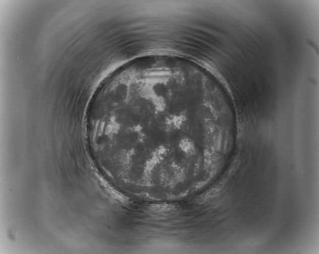 X0000099511037200806051142