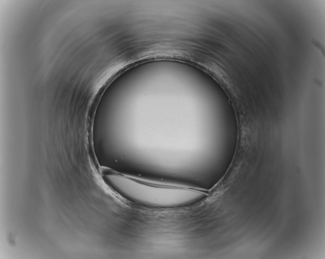 X0000099511038200806051142