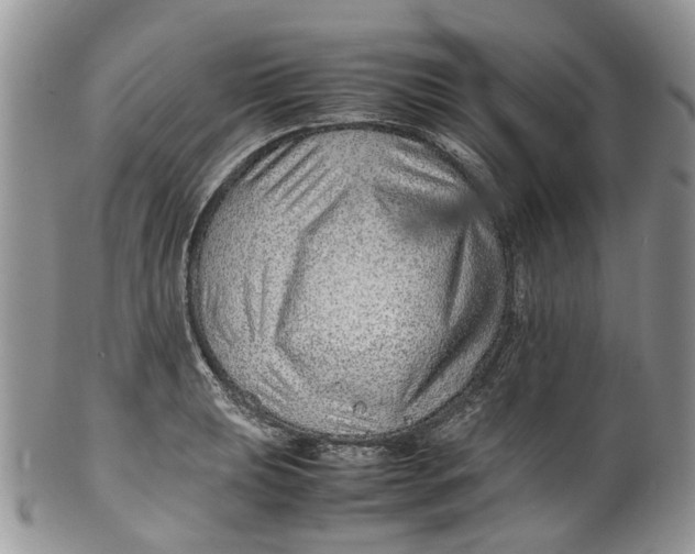 X0000099511039200806051142