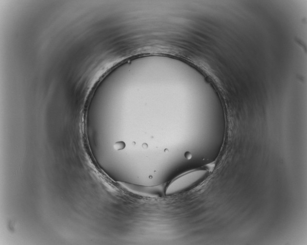 X0000099511040200806051142