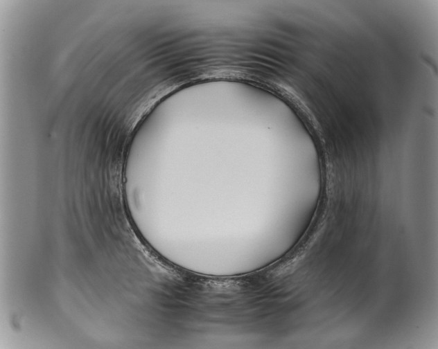 X0000099511041200806051142