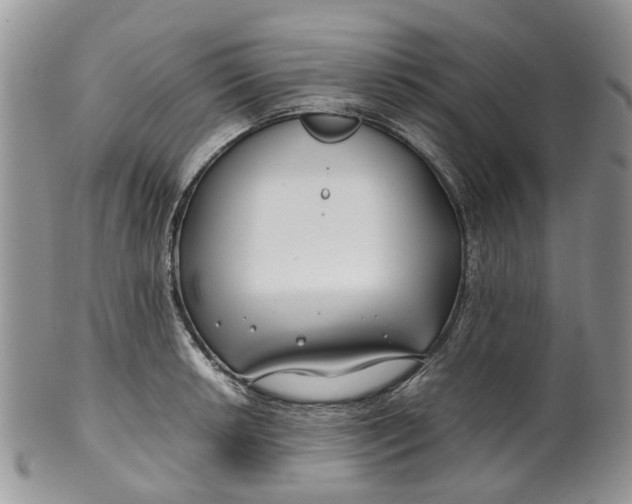 X0000099511042200806051142