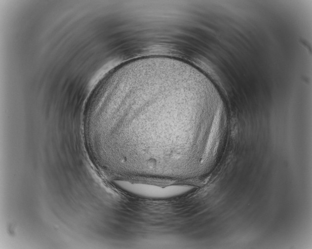 X0000099511043200806051142