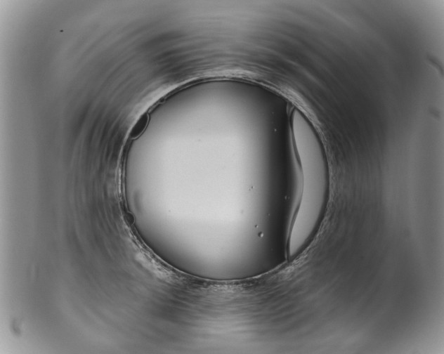 X0000099511044200806051142