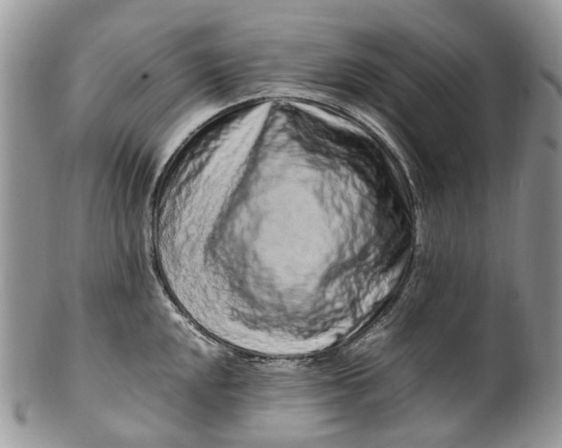 X0000099511048200806051142