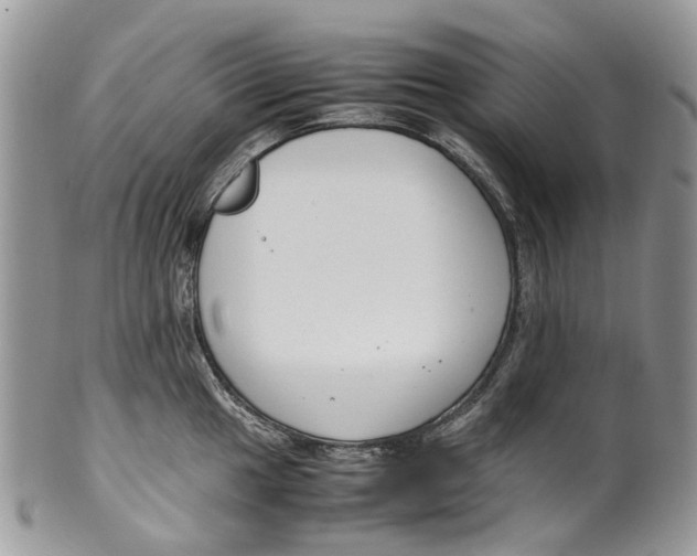 X0000099511049200806051142