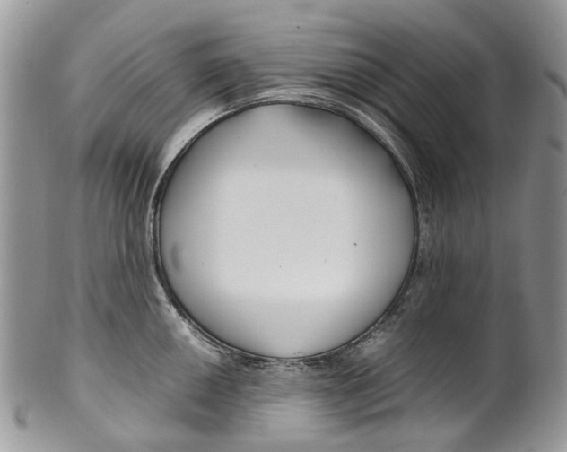 X0000099511050200806051142