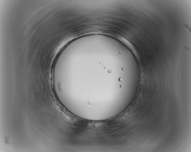 X0000099511051200806051142