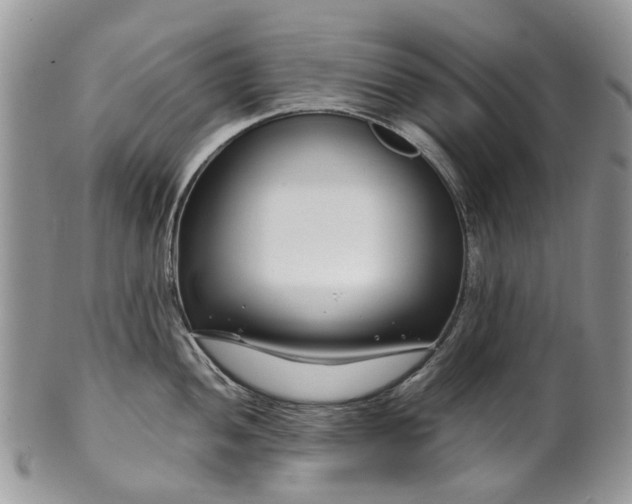 X0000099511052200806051142