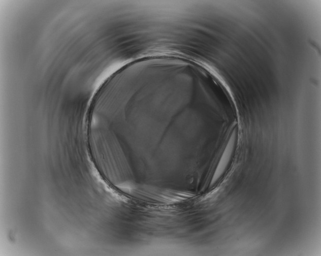 X0000099511053200806051142