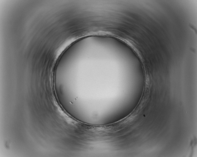 X0000099511054200806051142