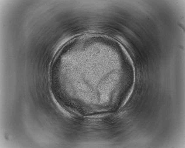 X0000099511055200806051142