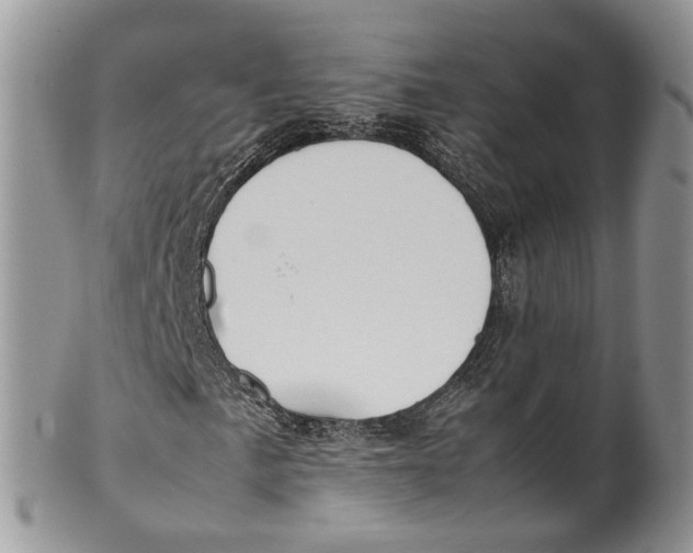 X0000099511057200806051142