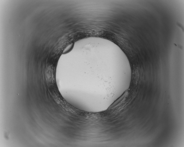 X0000099511058200806051142