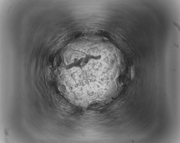 X0000099511059200806051142