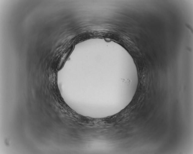 X0000099511061200806051142