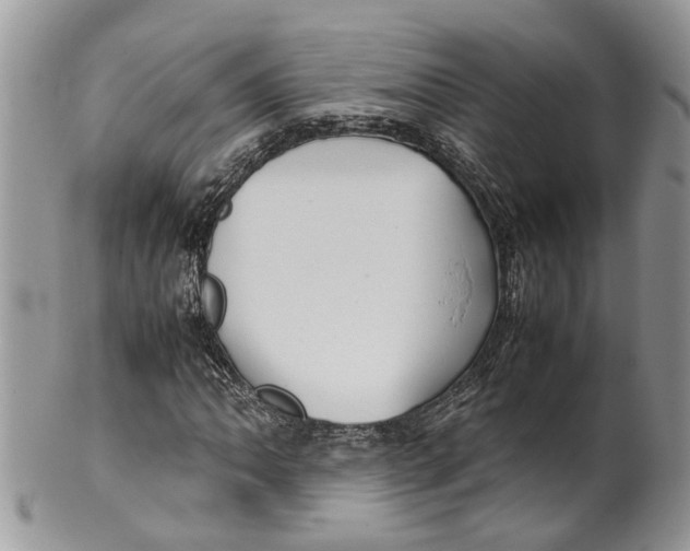 X0000099511062200806051142