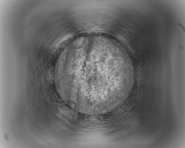 X0000099511063200806051142