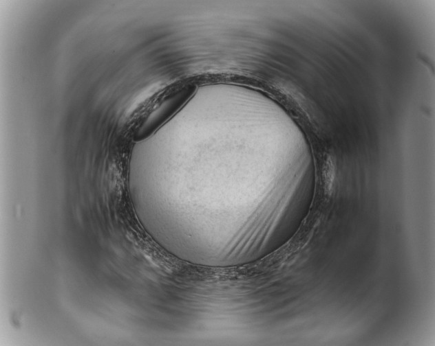 X0000099511064200806051142