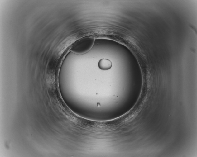 X0000099511065200806051142