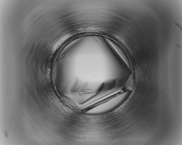 X0000099511066200806051141