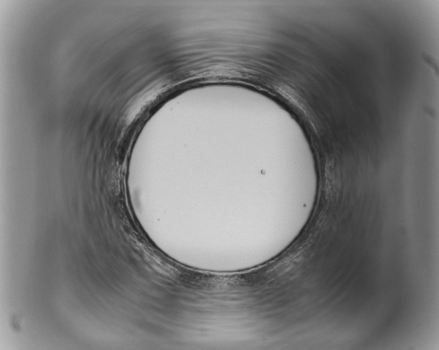 X0000099511067200806051141