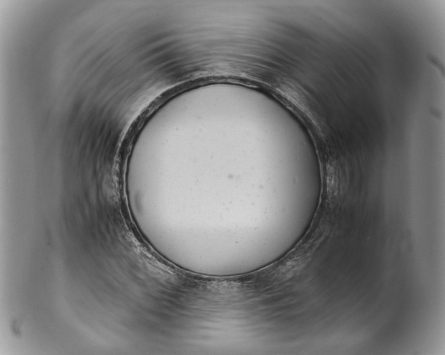 X0000099511068200806051141