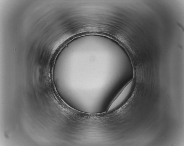 X0000099511070200806051141