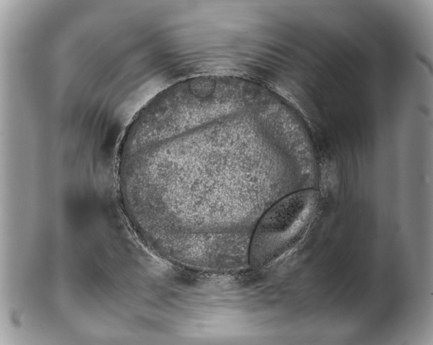 X0000099511071200806051141