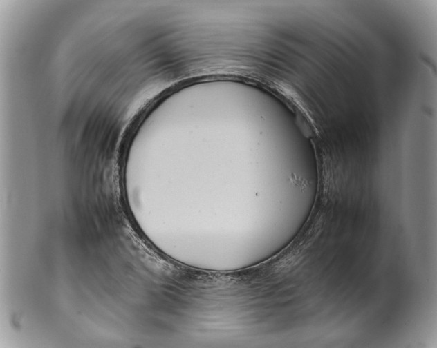 X0000099511072200806051141