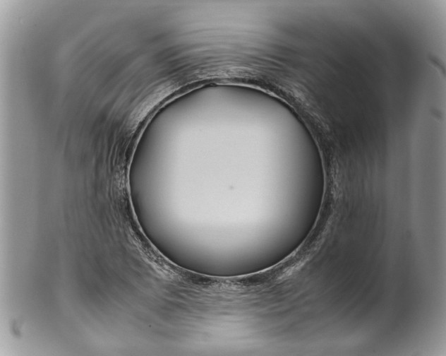 X0000099511073200806051141